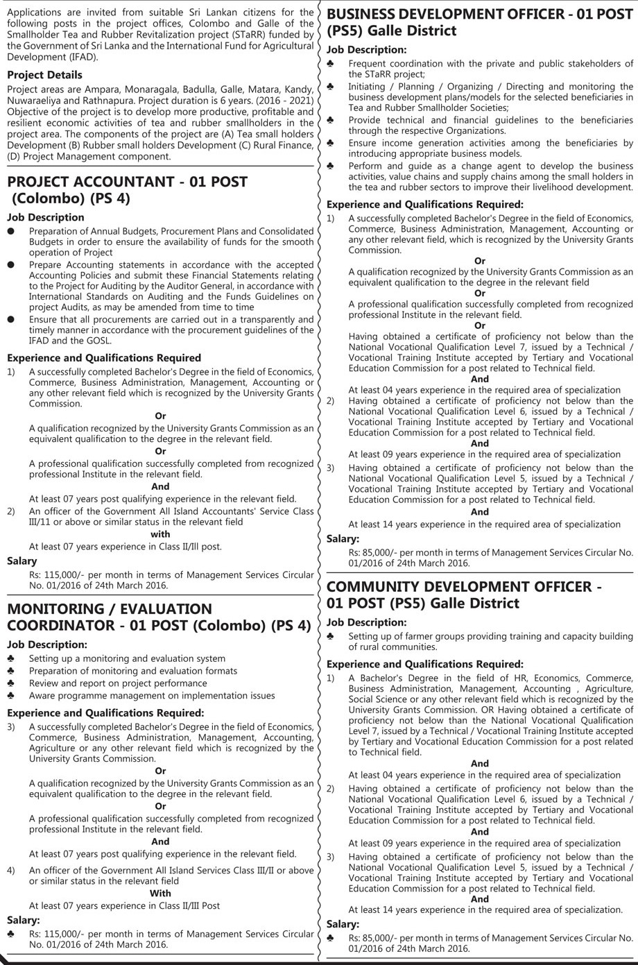 Project Accountant, Monitoring/Evaluation Coordinator, Business Development Officer, Community Development Officer, ICT Officer - Ministry of Plantation Industries